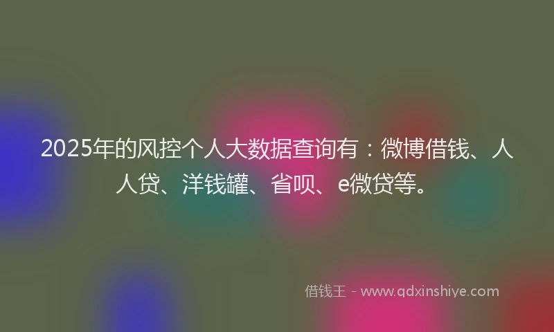 2025年的风控个人大数据查询有：微博借钱、人人贷、洋钱罐、省呗、e微贷等。