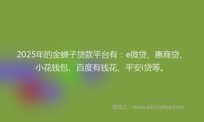 2025年的金蝉子贷款平台有：e微贷、惠商贷、小花钱包、百度有钱花、平安i贷等。