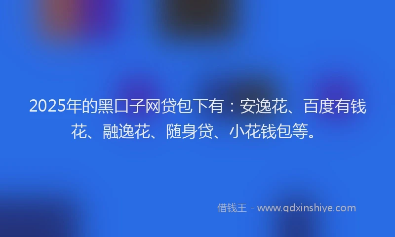 2025年的黑口子网贷包下有：安逸花、百度有钱花、融逸花、随身贷、小花钱包等。