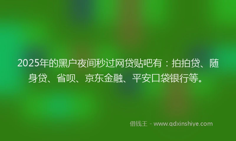 2025年的黑户夜间秒过网贷贴吧有：拍拍贷、随身贷、省呗、京东金融、平安口袋银行等。