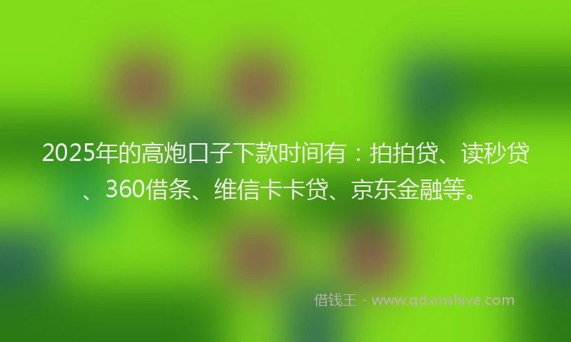 2025年的高炮口子下款时间有：拍拍贷、读秒贷、360借条、维信卡卡贷、京东金融等。