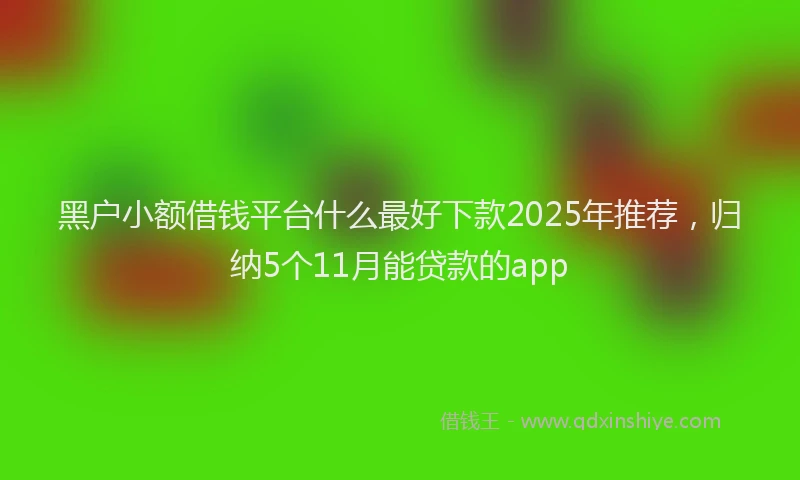 黑户小额借钱平台什么最好下款2025年推荐，归纳5个11月能贷款的app