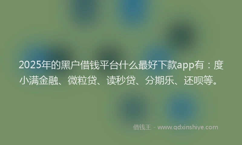 2025年的黑户借钱平台什么最好下款app有：度小满金融、微粒贷、读秒贷、分期乐、还呗等。