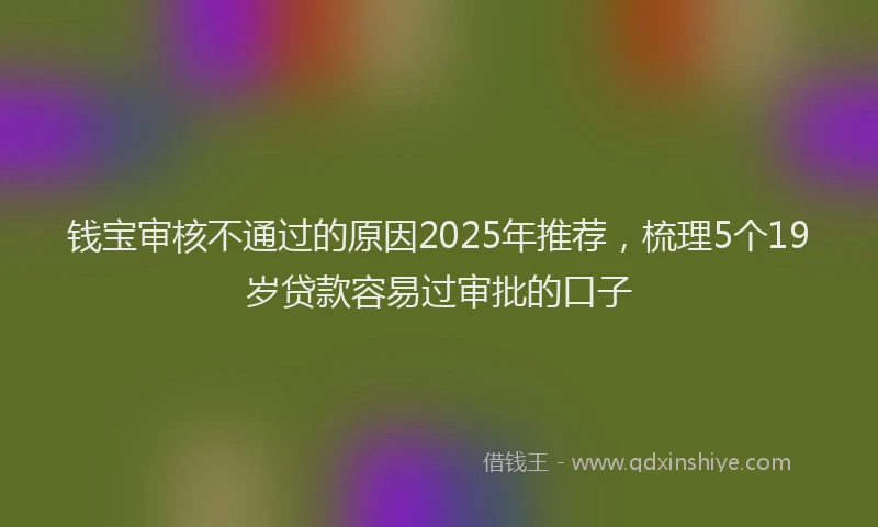 钱宝审核不通过的原因2025年推荐，梳理5个19岁贷款容易过审批的口子