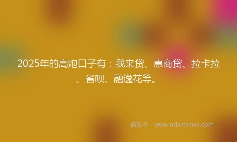 2025年的高炮口子有：我来贷、惠商贷、拉卡拉、省呗、融逸花等。