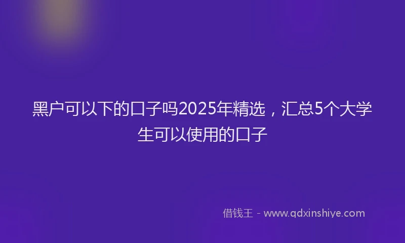 黑户可以下的口子吗2025年精选，汇总5个大学生可以使用的口子