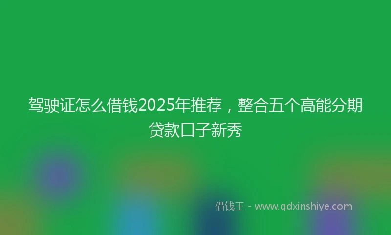 驾驶证怎么借钱2025年推荐，整合五个高能分期贷款口子新秀
