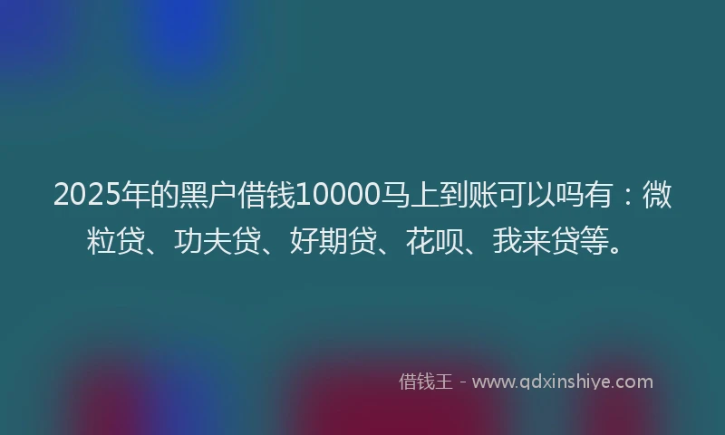 2025年的黑户借钱10000马上到账可以吗有：微粒贷、功夫贷、好期贷、花呗、我来贷等。