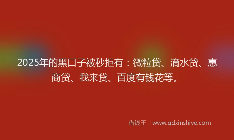 2025年的黑口子被秒拒有：微粒贷、滴水贷、惠商贷、我来贷、百度有钱花等。