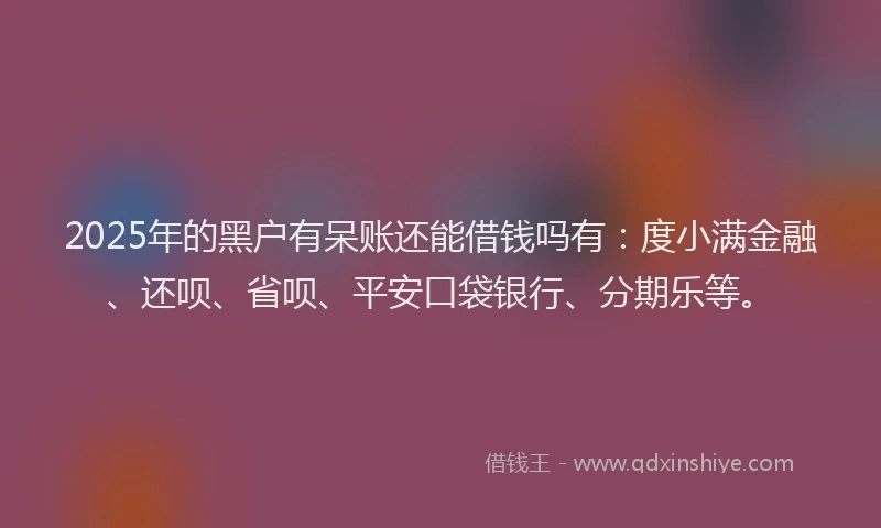 2025年的黑户有呆账还能借钱吗有：度小满金融、还呗、省呗、平安口袋银行、分期乐等。