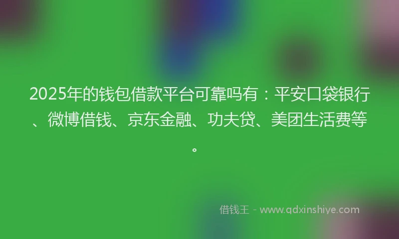 2025年的钱包借款平台可靠吗有：平安口袋银行、微博借钱、京东金融、功夫贷、美团生活费等。