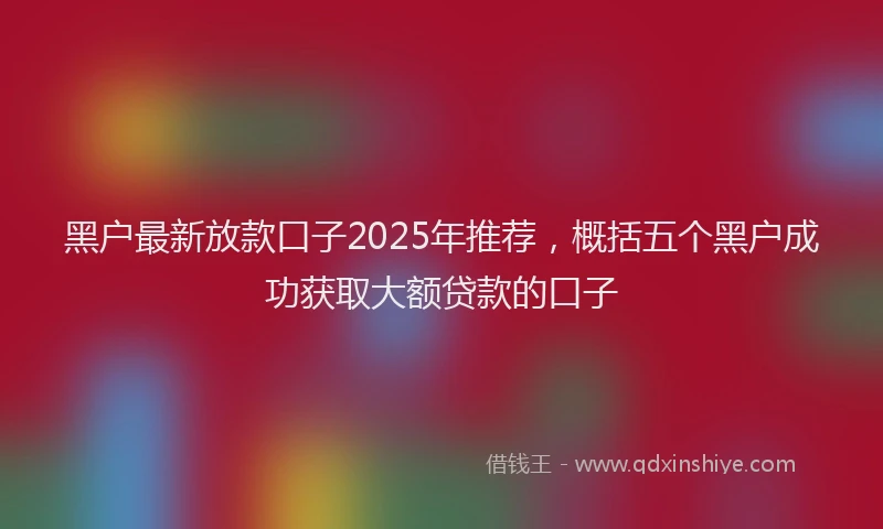 黑户最新放款口子2025年推荐，概括五个黑户成功获取大额贷款的口子
