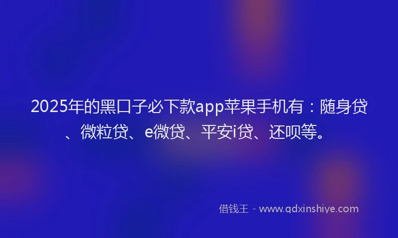 2025年的黑口子必下款app苹果手机有：随身贷、微粒贷、e微贷、平安i贷、还呗等。