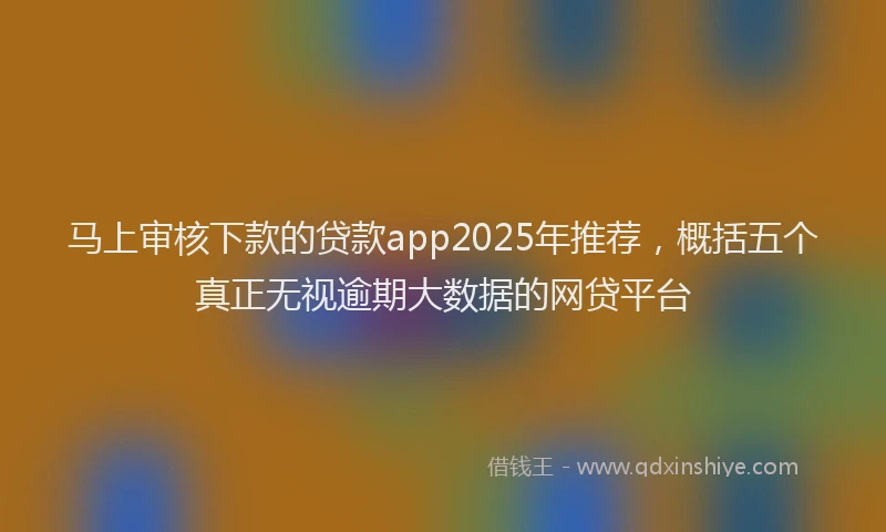 马上审核下款的贷款app2025年推荐，概括五个真正无视逾期大数据的网贷平台