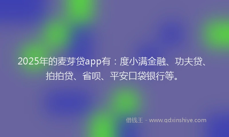 2025年的麦芽贷app有：度小满金融、功夫贷、拍拍贷、省呗、平安口袋银行等。