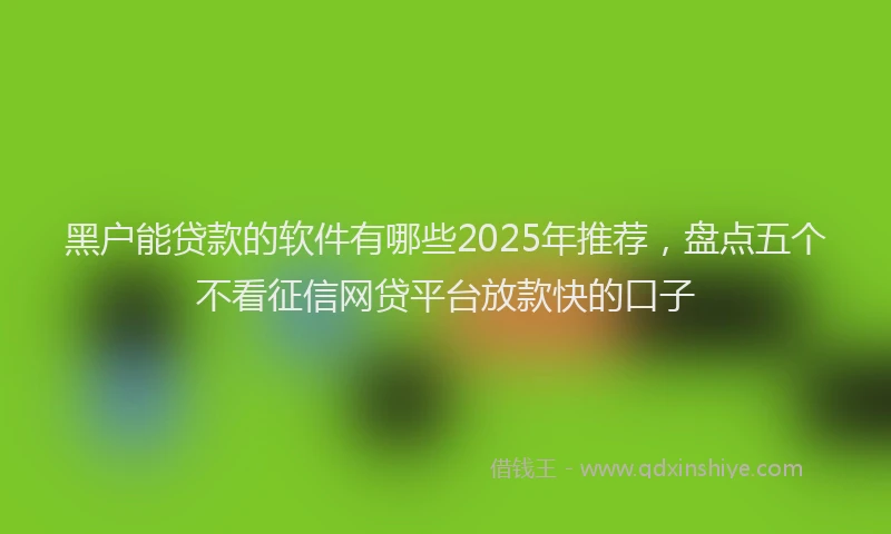 黑户能贷款的软件有哪些2025年推荐，盘点五个不看征信网贷平台放款快的口子
