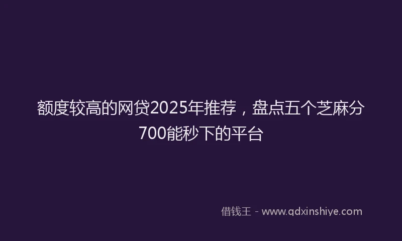 额度较高的网贷2025年推荐，盘点五个芝麻分700能秒下的平台