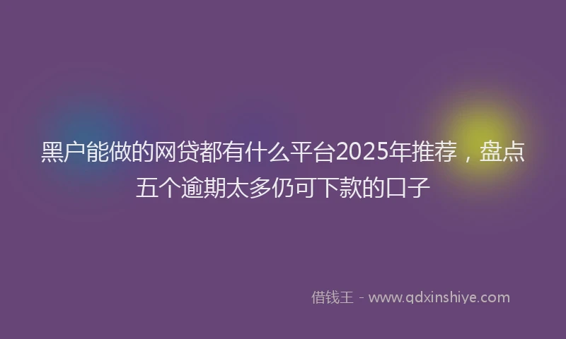 黑户能做的网贷都有什么平台2025年推荐，盘点五个逾期太多仍可下款的口子
