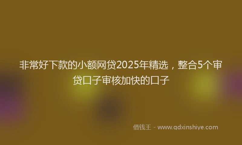 非常好下款的小额网贷2025年精选，整合5个审贷口子审核加快的口子