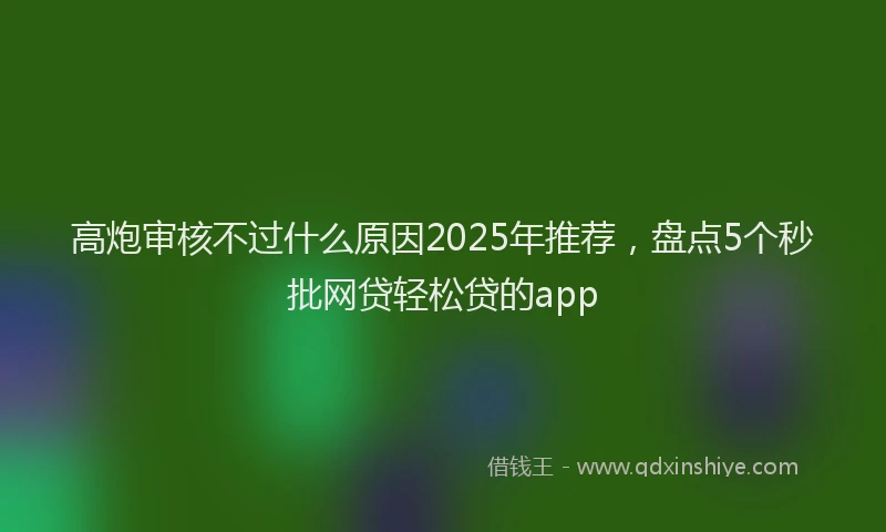 高炮审核不过什么原因2025年推荐，盘点5个秒批网贷轻松贷的app