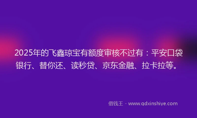 2025年的飞鑫琼宝有额度审核不过有：平安口袋银行、替你还、读秒贷、京东金融、拉卡拉等。