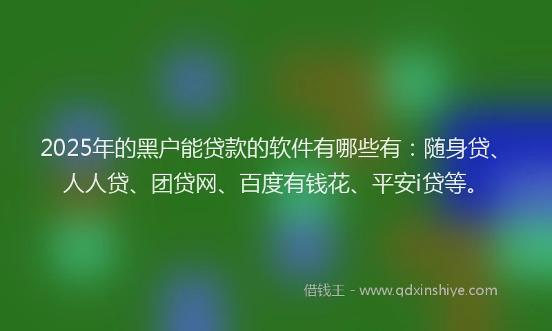 2025年的黑户能贷款的软件有哪些有：随身贷、人人贷、团贷网、百度有钱花、平安i贷等。