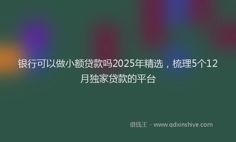 银行可以做小额贷款吗2025年精选，梳理5个12月独家贷款的平台