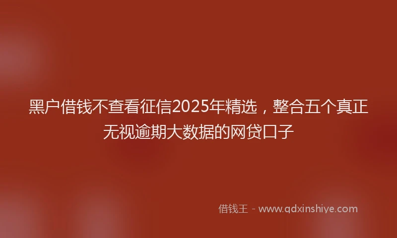 黑户借钱不查看征信2025年精选，整合五个真正无视逾期大数据的网贷口子