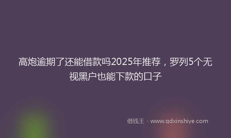 高炮逾期了还能借款吗2025年推荐，罗列5个无视黑户也能下款的口子