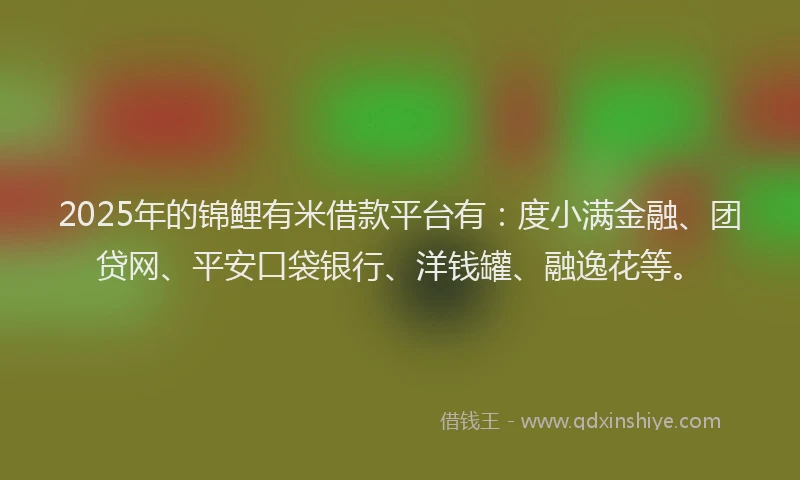 2025年的锦鲤有米借款平台有：度小满金融、团贷网、平安口袋银行、洋钱罐、融逸花等。