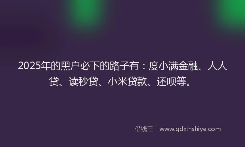 2025年的黑户必下的路子有：度小满金融、人人贷、读秒贷、小米贷款、还呗等。