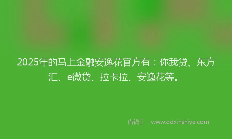2025年的马上金融安逸花官方有：你我贷、东方汇、e微贷、拉卡拉、安逸花等。