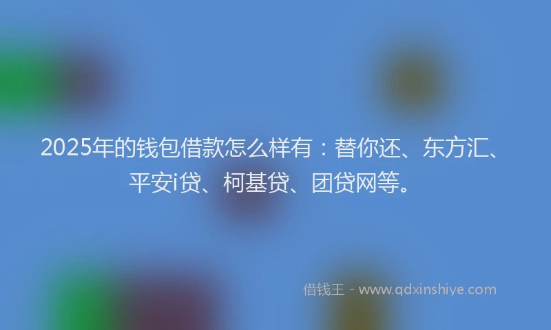 2025年的钱包借款怎么样有：替你还、东方汇、平安i贷、柯基贷、团贷网等。