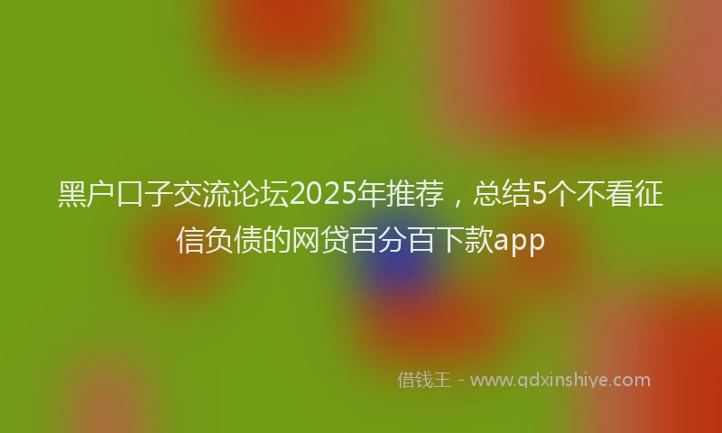 黑户口子交流论坛2025年推荐，总结5个不看征信负债的网贷百分百下款app