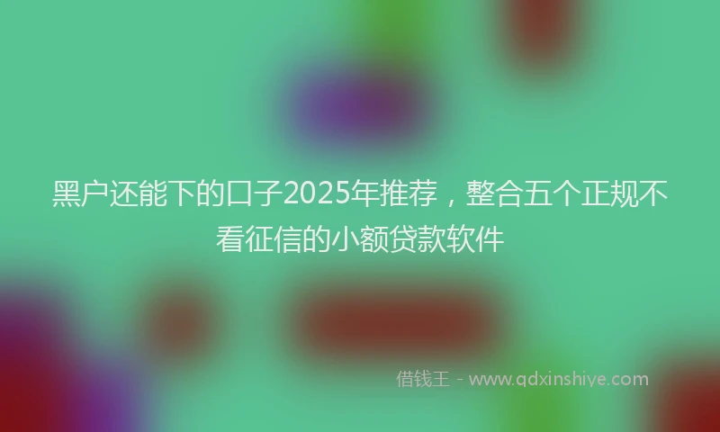 黑户还能下的口子2025年推荐，整合五个正规不看征信的小额贷款软件