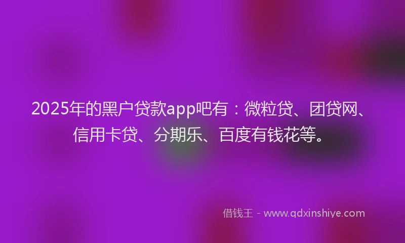 2025年的黑户贷款app吧有：微粒贷、团贷网、信用卡贷、分期乐、百度有钱花等。