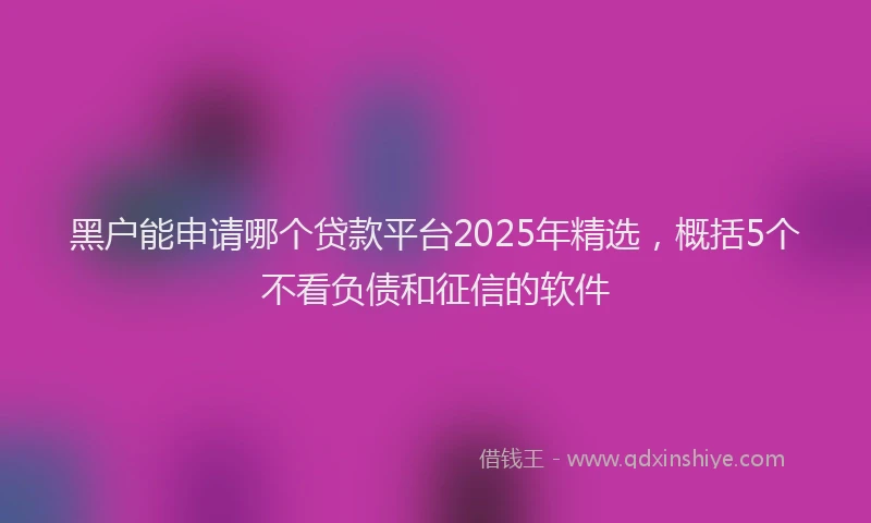 黑户能申请哪个贷款平台2025年精选，概括5个不看负债和征信的软件