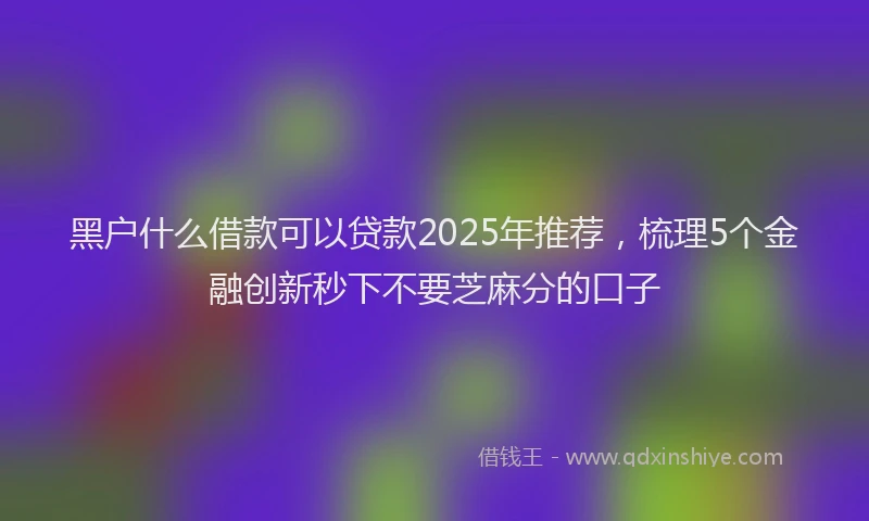 黑户什么借款可以贷款2025年推荐，梳理5个金融创新秒下不要芝麻分的口子