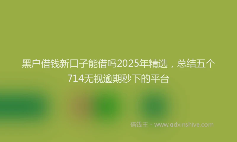 黑户借钱新口子能借吗2025年精选，总结五个714无视逾期秒下的平台