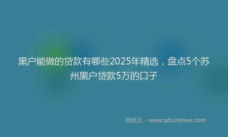 黑户能做的贷款有哪些2025年精选，盘点5个苏州黑户贷款5万的口子