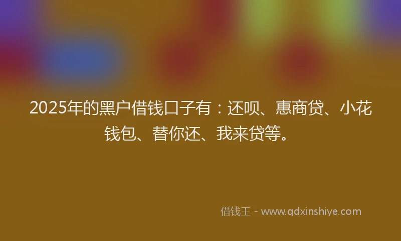 2025年的黑户借钱口子有：还呗、惠商贷、小花钱包、替你还、我来贷等。
