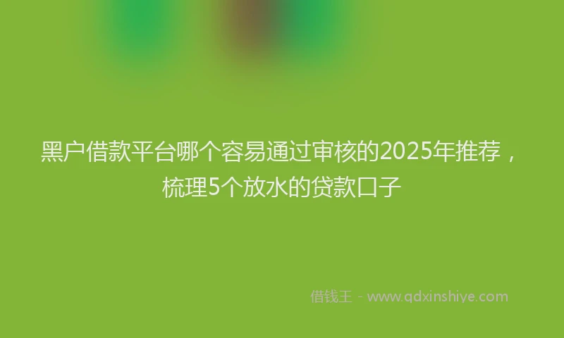 黑户借款平台哪个容易通过审核的2025年推荐，梳理5个放水的贷款口子
