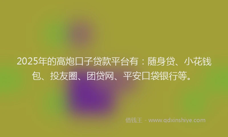 2025年的高炮口子贷款平台有：随身贷、小花钱包、投友圈、团贷网、平安口袋银行等。