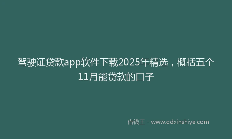 驾驶证贷款app软件下载2025年精选,概括五个11月能贷款的口子