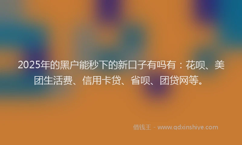 2025年的黑户能秒下的新口子有吗有：花呗、美团生活费、信用卡贷、省呗、团贷网等。