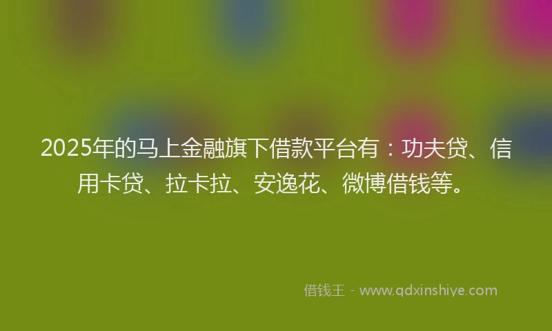 2025年的马上金融旗下借款平台有：功夫贷、信用卡贷、拉卡拉、安逸花、微博借钱等。