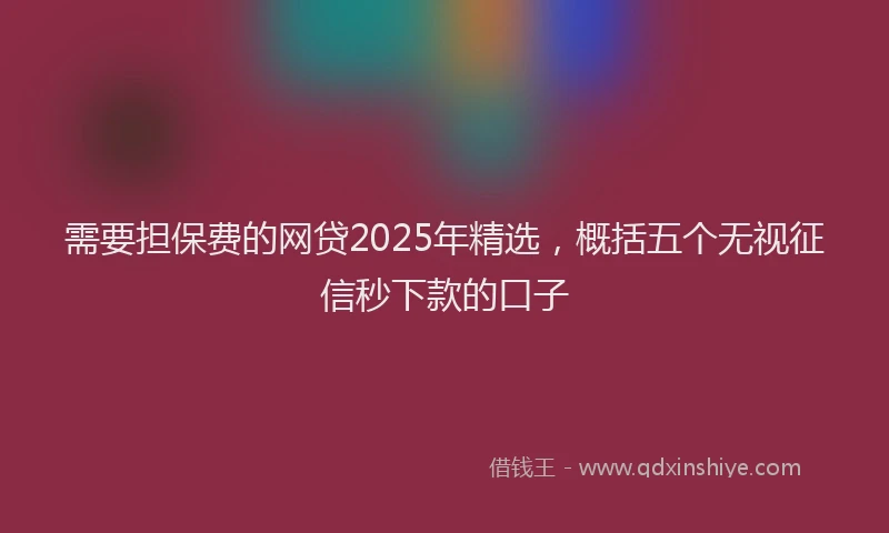 需要担保费的网贷2025年精选，概括五个无视征信秒下款的口子
