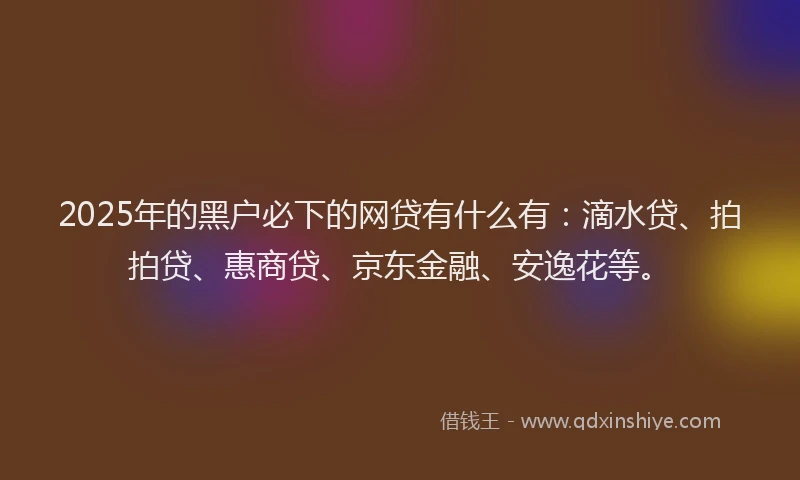 2025年的黑户必下的网贷有什么有：滴水贷、拍拍贷、惠商贷、京东金融、安逸花等。