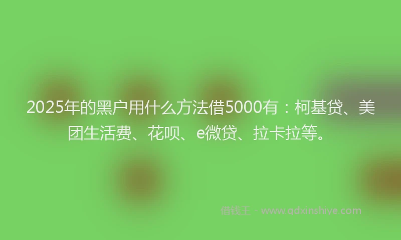 2025年的黑户用什么方法借5000有：柯基贷、美团生活费、花呗、e微贷、拉卡拉等。
