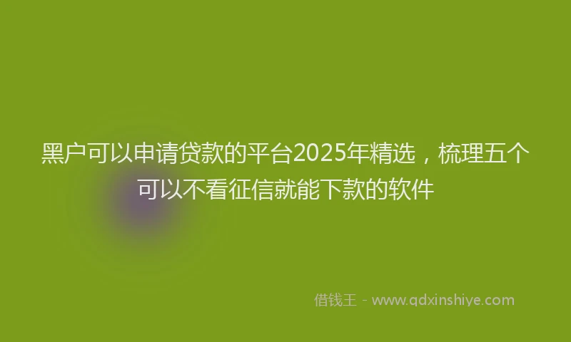 黑户可以申请贷款的平台2025年精选，梳理五个可以不看征信就能下款的软件